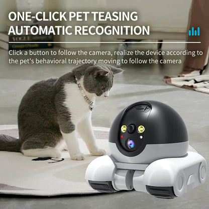 Dual-Lens IP Dome Camera